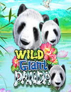 แจ็คพ็อตสล็อต Happyluke: สูตรลุ้นเงินล้าน